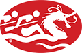 Texas Dragon Boat Association Logo